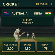 Wild Fortune - Cricket Betting - International Cricket Sports Betting