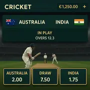 Wild Fortune - Cricket Betting - International Cricket Sports Betting