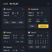 Wild Fortune - Live In-Play Betting - Real-Time Sports Betting